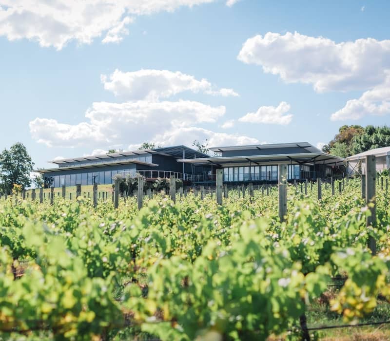 Modern estate surrounded by lush vineyards under a blue sky.